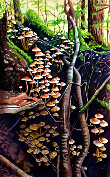 Cascading Mushrooms Print