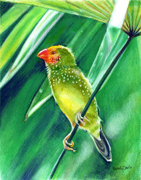 Green Bird Print