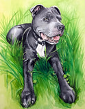 Custom Watercolor Pet Portraits